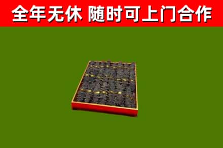 钦州烟酒回收海参.jpg